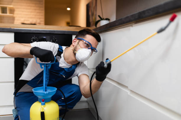 Best Pest Control Near Me  in Holland, MI