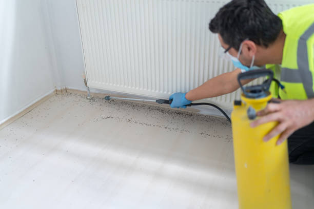 Best Cockroach Control Services  in Holland, MI